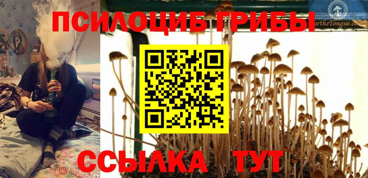 Галлюциногенные грибы Cubensis  Вход с VPN  Галлюциногенные грибы Psilocybine cubensis  Зерноград 